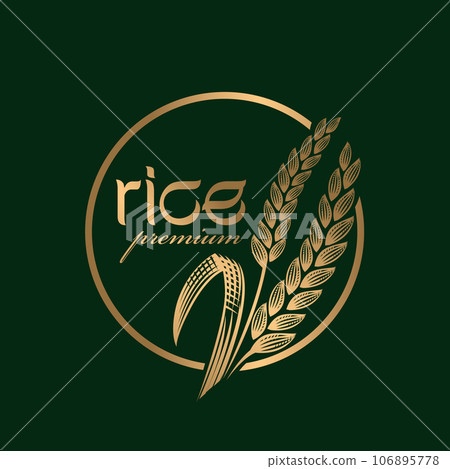 paddy rice premium organic natural product banner logo vector design 106895778