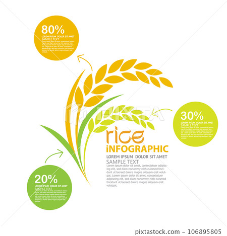 Premium Vector | Wheat paddy logo