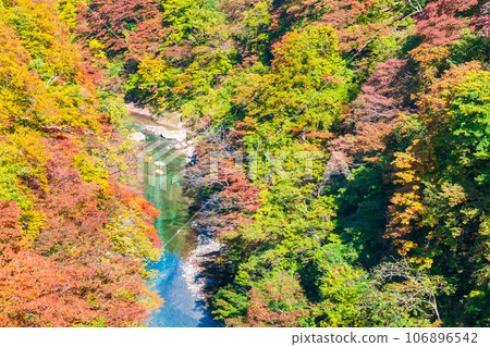 Oyasukyo (Autumn) 106896542