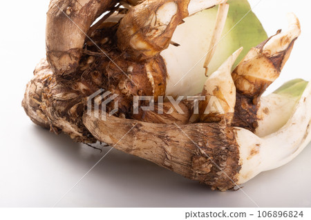 [Produced in Miyagi Prefecture, Zao] Ikari-imo (Dodare-imo) Early-picked taro 106896824