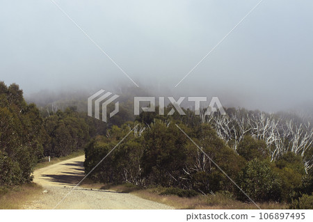 Foggy dirt road a the top of a mountain shrouded in mist 106897495