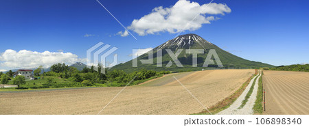 從北海道留壽都村豐岡看到的羊蹄山和新雪谷山脈 106898340