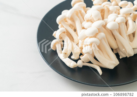 white beech mushroom or white reishi mushroom 106898782
