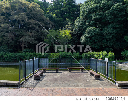 Bench installed by the pond in the park (Akebonoyama Agricultural Park, Kashiwa City, Chiba Prefecture) Bench installed by the pond in the park (Akebonoyama Agricultural Park, Kashiwa City, Chiba Prefecture) 106899414
