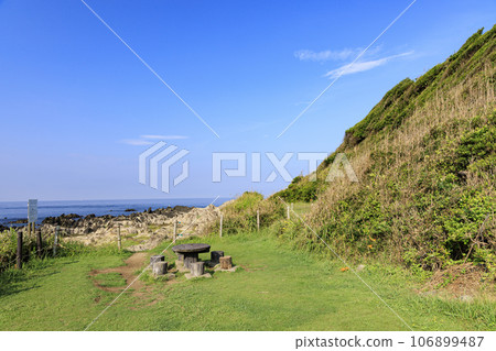 神奈川縣橫須賀市荒崎公園的夏天（三浦半島） 106899487