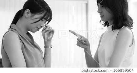 Monochrome image of a senior female employee preaching to a junior female employee Monochrome image of a senior female employee preaching to a junior female employee 106899504