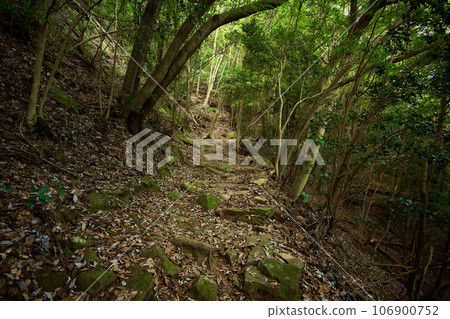 羽塚山登山道 羽塚山登山道 106900752