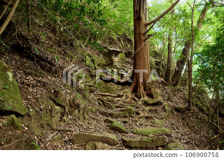 Mt. Hazuka mountain trail Mt. Hazuka mountain trail 106900758