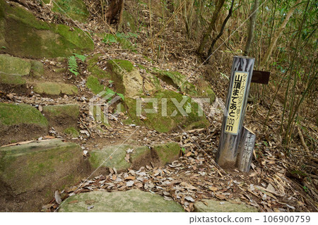 Mt. Hazuka mountain trail 106900759