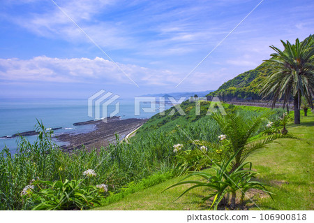 宮崎縣堀切堀堀 106900818