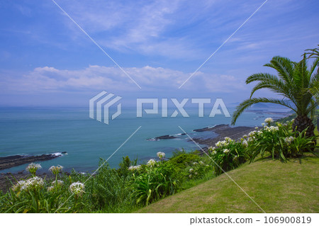 宮崎縣堀切堀堀 106900819