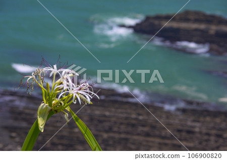 宮崎縣堀切堀堀 106900820