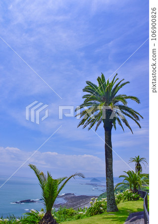 宮崎縣堀切堀堀 106900826