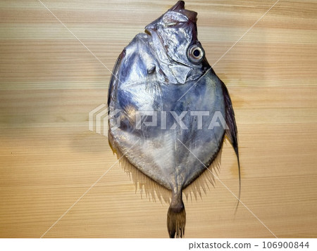 Fresh Kagamidai Fresh Kagamidai 106900844