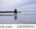 A dog languishing on the summer beach 106900941