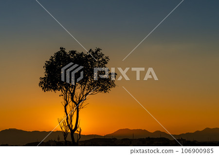 A sunset 106900985