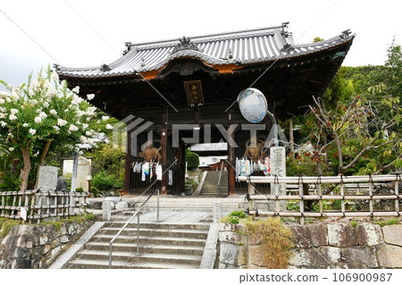 [Matsuyama City, Shikoku 88 Pilgrimages, Iyo, 49th temple “Jodoji” Niomon] 106900987