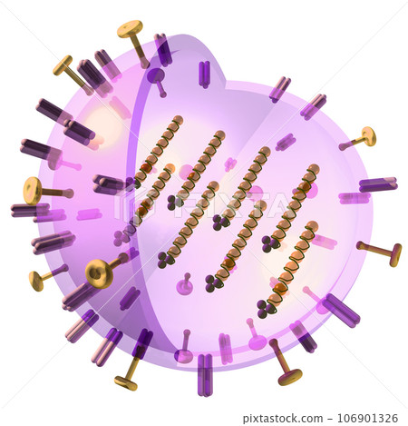 3D/3D “influenza virus” 3D/3D “influenza virus” 106901326