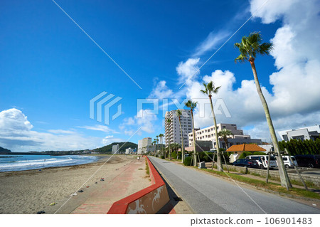 鴨川市棕櫚樹沿岸的道路 鴨川市棕櫚樹沿岸的道路 106901483