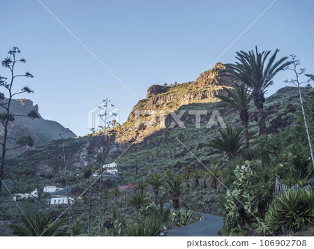 Winding road at Guarimiar village. At hiking trail through Barranco de Guarimiar Gorge. Green mountain canyon slopes with palm trees and succulent vegetation. La Gomera, Canary Islands, Spain Winding road at Guarimiar village. At hiking trail through Barranco de Guarimiar Gorge. Green mountain canyon slopes with palm trees and succulent vegetation. La Gomera, Canary Islands, Spain 106902708