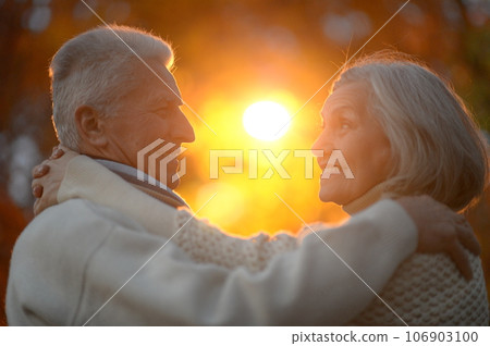 Nice elderly couple in a autumn park  106903100