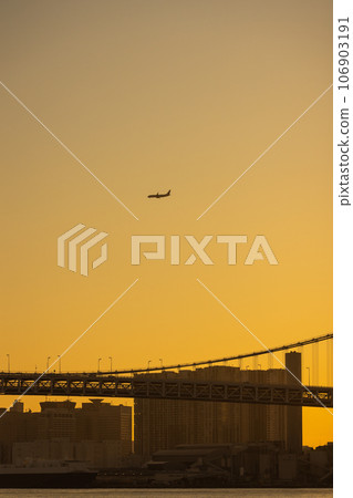 Airplane flying over the city at sunset Airplane flying over the city at sunset 106903191