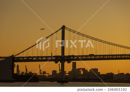 Airplane flying over the city at sunset 106903192