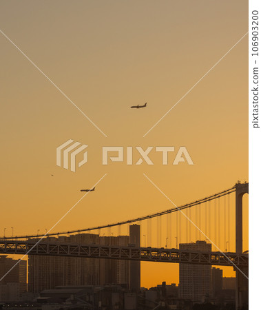 Airplane flying over the city at sunset 106903200