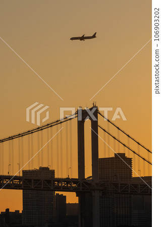 Airplane flying over the city at sunset 106903202