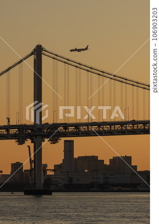 Airplane flying over the city at sunset Airplane flying over the city at sunset 106903203
