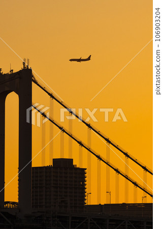Airplane flying over the city at sunset Airplane flying over the city at sunset 106903204