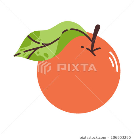 Orange with leaf isolated on white background. Flat modern vector illustration. 106903290