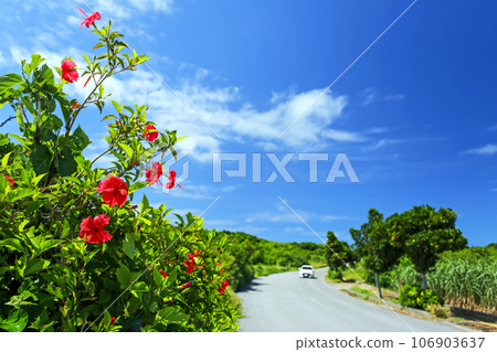 悠閒自駕沖繩 106903637