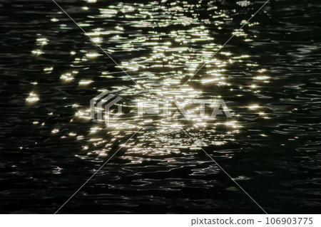 閃亮的水面倒影 106903775
