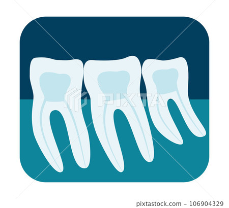 X-ray of human teeth. Three healthy molars on an x-ray. Vector illustration. 106904329