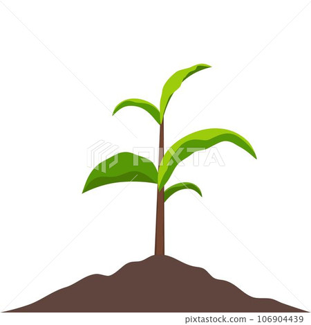 Sprout growing in soil. Small sprout with green leaves. Symbol of development, organic agriculture, natural products. Vector gardening plant, symbol of ecology.Flat vector illustration. 106904439