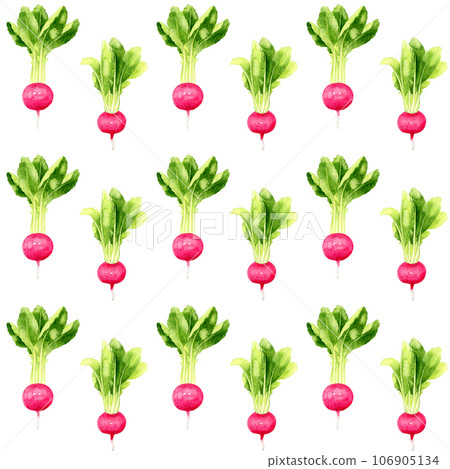 紅蘿蔔圖案，手繪水彩插畫蔬菜圖案 106905134