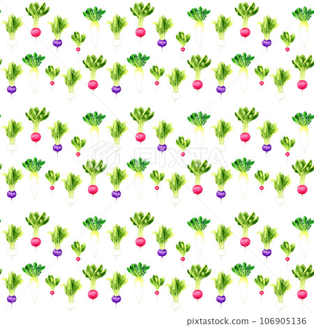 Turnip, radish, radish pattern Hand-drawn watercolor illustration vegetable pattern 106905136