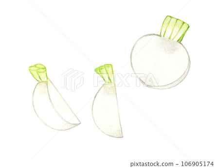 手繪水彩插圖切白蘿蔔蔬菜 106905174