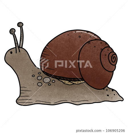 Snail 106905206