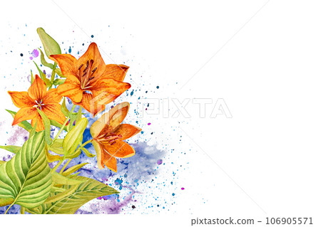 Watercolor illustration composition of roses and lilies, hand drawn. For postcards, invitations, advertising 106905571