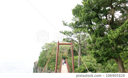 在Jogasaki海岸的吊橋 106905826