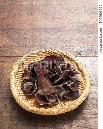 活潑的石斑魚 106906211