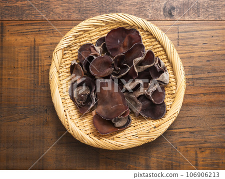 Lively grouper 106906213