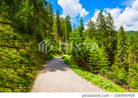 Walking trail around Eibsee lake, Germany Walking trail around Eibsee lake, Germany 106906409