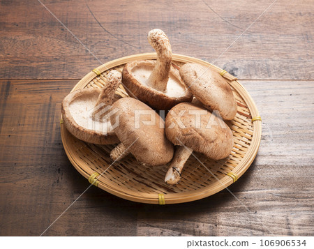 jumbo shiitake mushrooms 106906534