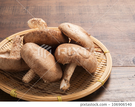 jumbo shiitake mushrooms jumbo shiitake mushrooms 106906540