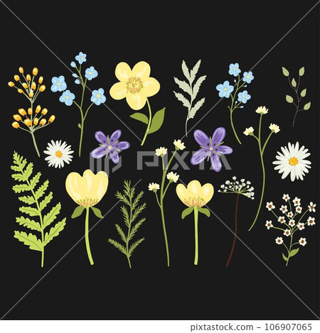 Vector set with floral elements, wildflowers and leaves Vector set with floral elements, wildflowers and leaves 106907065