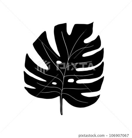 Vector black monstera leaf silhouette. Vector black monstera leaf silhouette. 106907067
