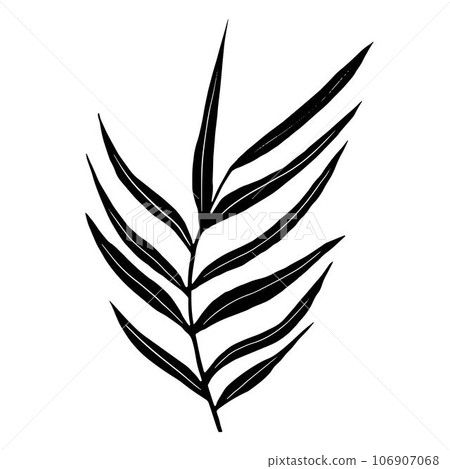 Vector black palm leaf silhouette. Vector black palm leaf silhouette. 106907068